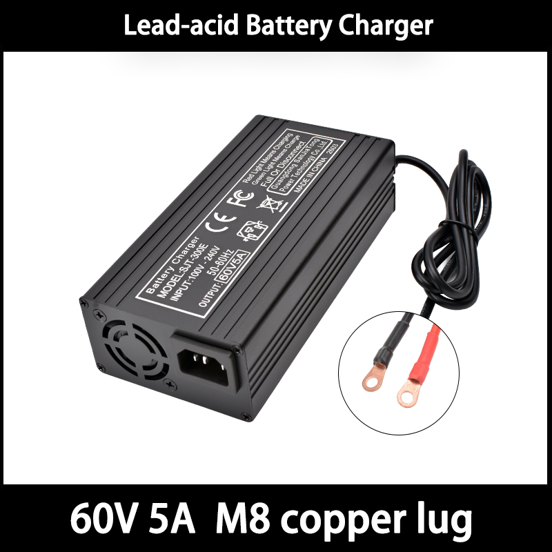 Caricabatterie Rapido 60V 5A c - 84V 20A Smart Charger recensione e prezzo